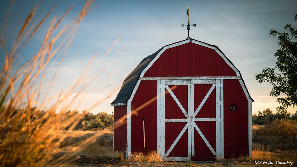 A red barn at sunset, welcoming you to start here on your journey to heal from MS naturally.