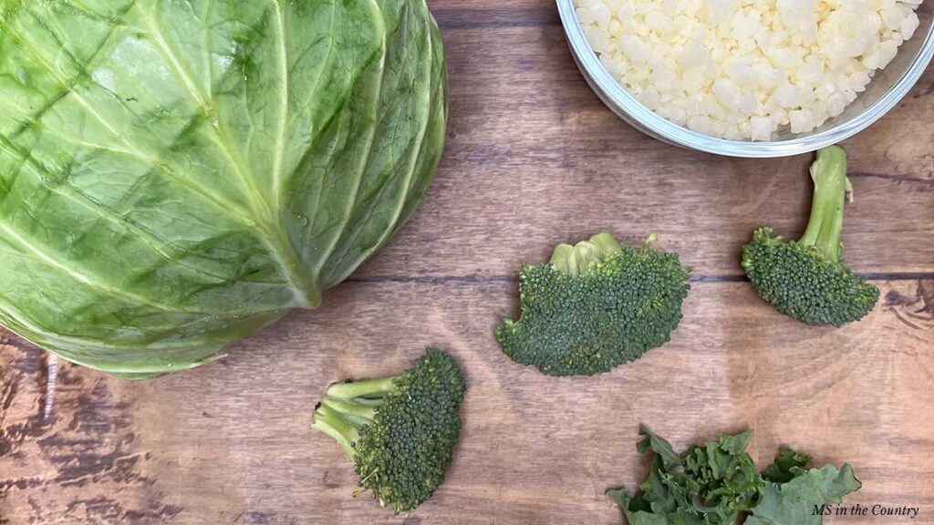 Cruciferous veggies for MS – cabbage, broccoli, kale, and cauliflower on wood background