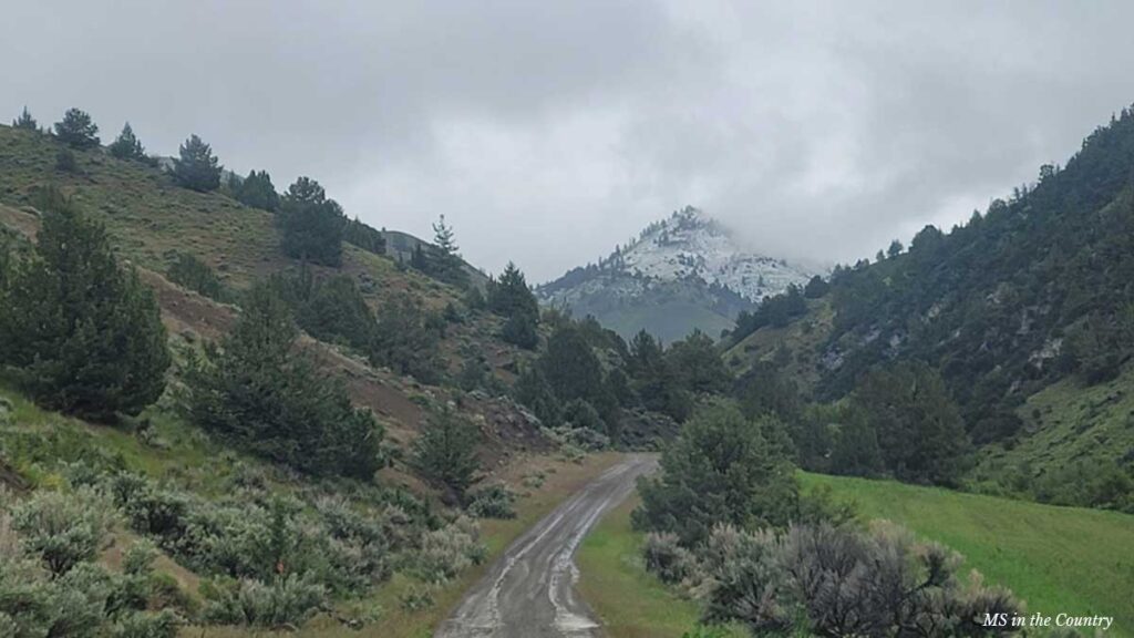 A quiet country road leading toward the mountains, symbolizing the journey of healing MS naturally.