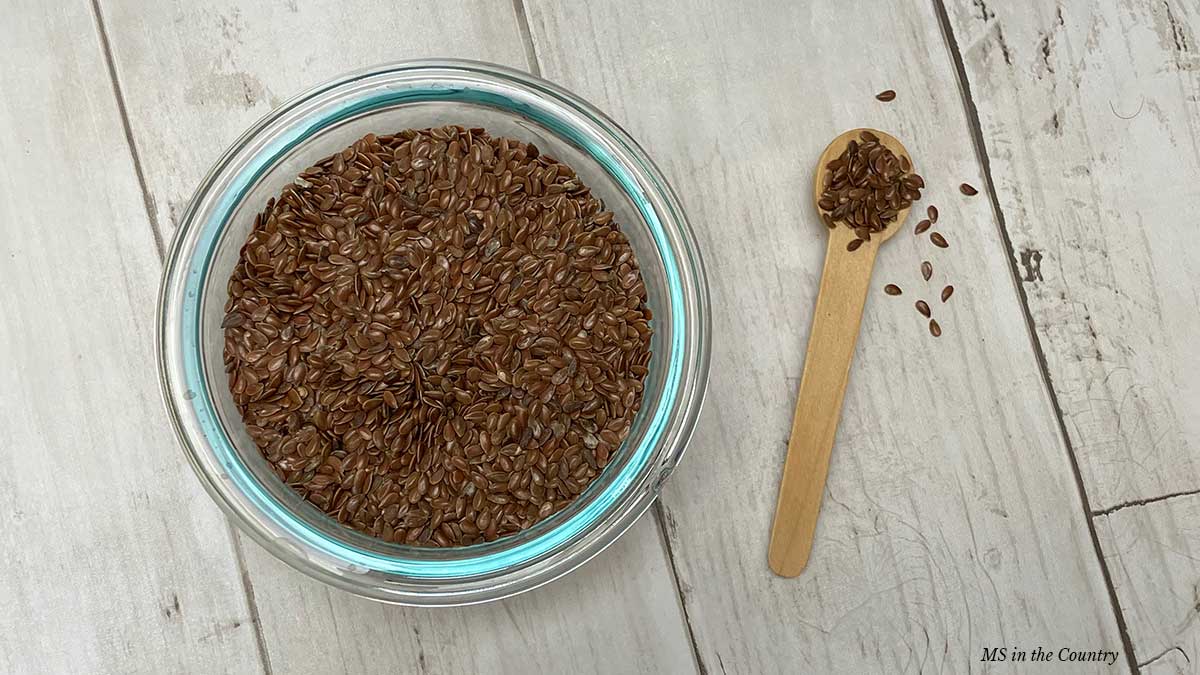 Ground flaxseeds in a glass bowl and wooden spoon — flaxseeds and MS support