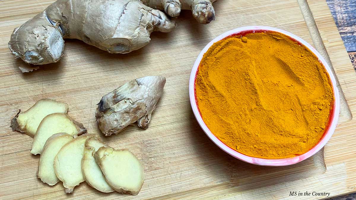 Superfoods for MS Recovery: Nourish & Heal Week 7