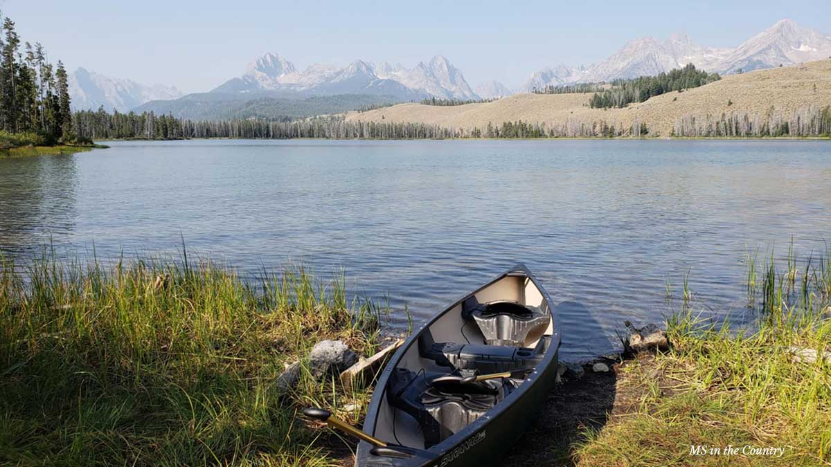 Calm Your Nervous System | Nourish & Heal Week 10