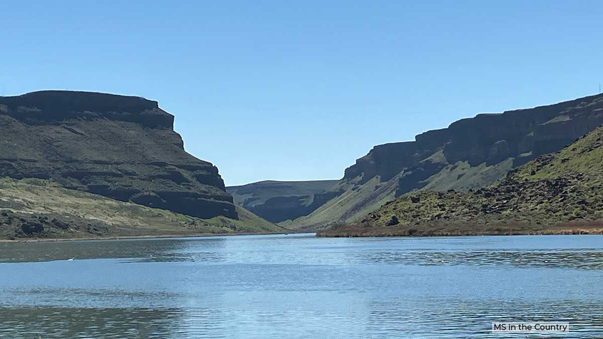 MS Healing Journey: Nourish & Heal Week 12 Final Steps