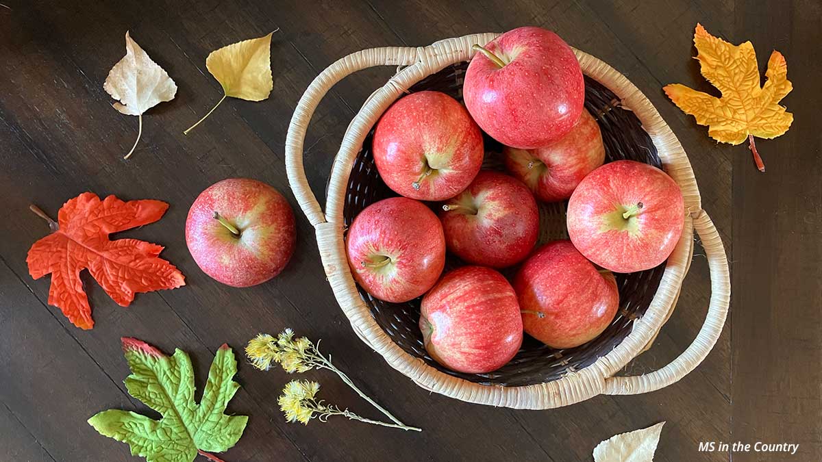 Fall Immune Boosters: Why Autumn Is the Best Time to Strengthen Your Body Against Viruses