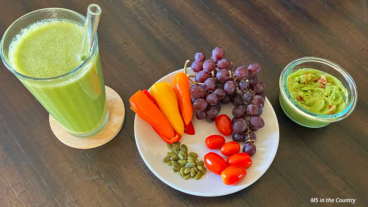 What to Eat for MS When Every ‘Healthy’ Diet Fails