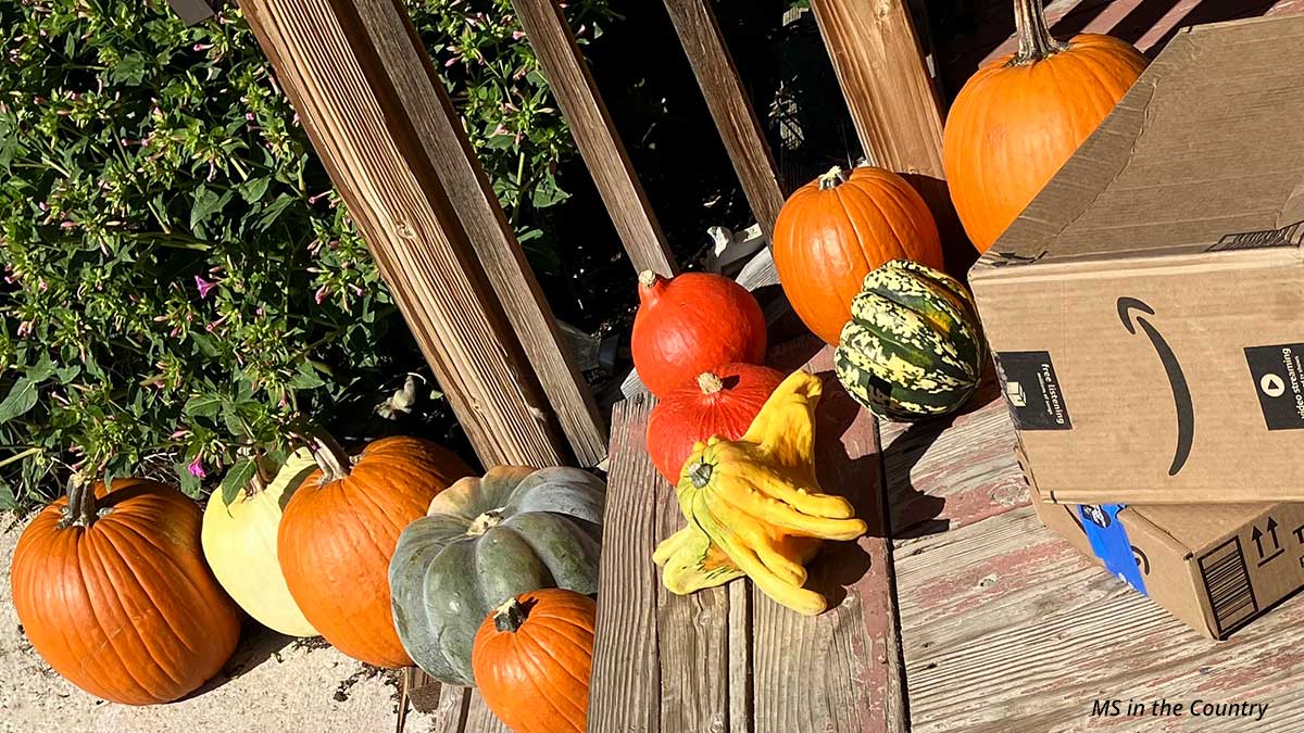 Amazon Prime Big Deal Days 2025: Taking Back October with MS-Friendly Finds