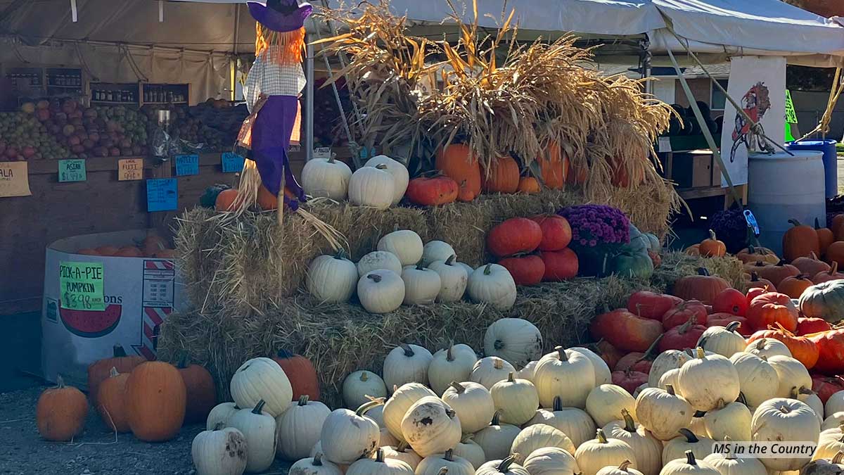 Living with MS Naturally: The October That Changed Everything