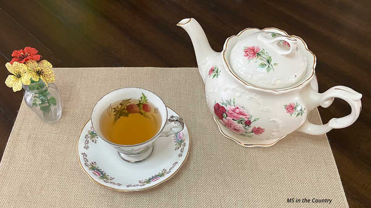 Breaking the Holiday Stress Cycle in MS: What Your Body Remembers