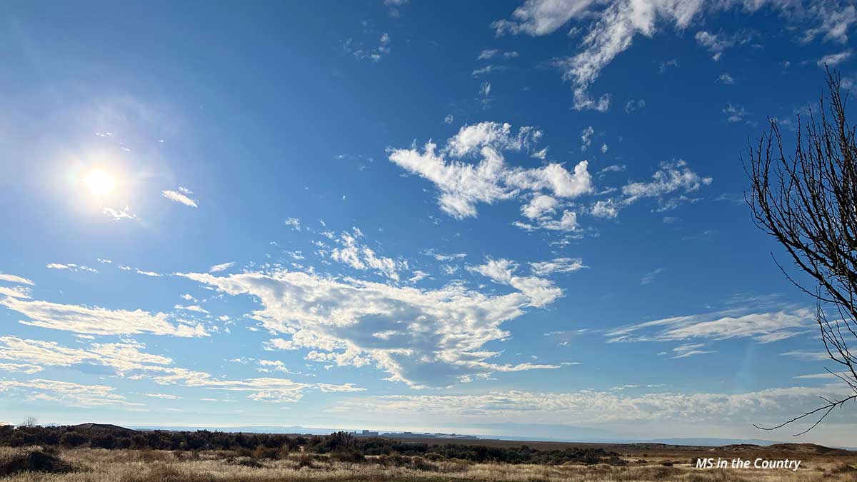 Vitamin D and MS: Why December Is Your Window to Take Action (Before You Hit Bottom in February)