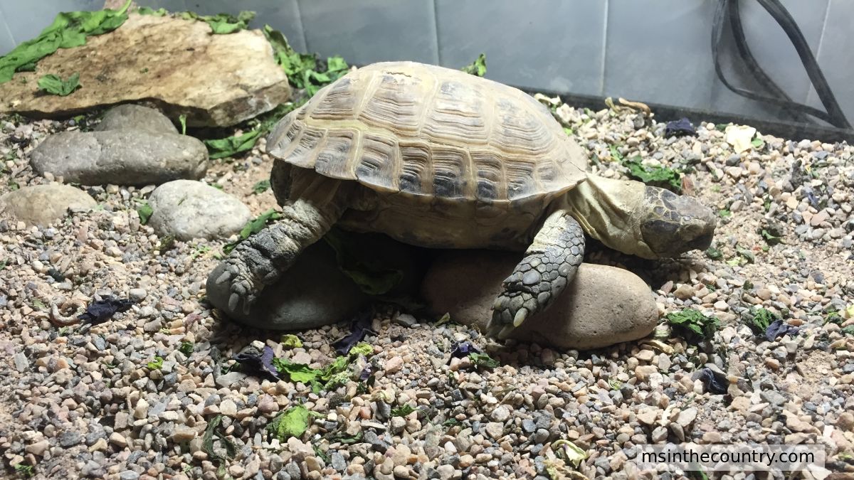 Funny Facts About MS: Symptoms That Sound Fake But Are 100% Real