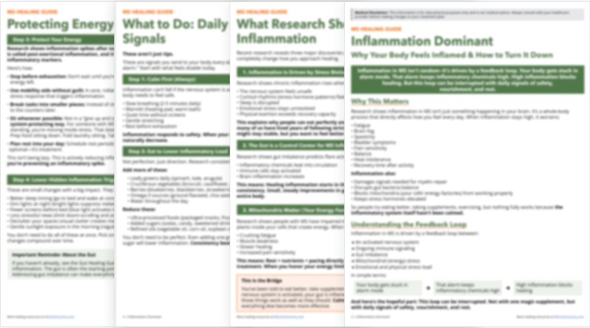 Preview of pages 1–4 from the Inflammation Dominant healing guide