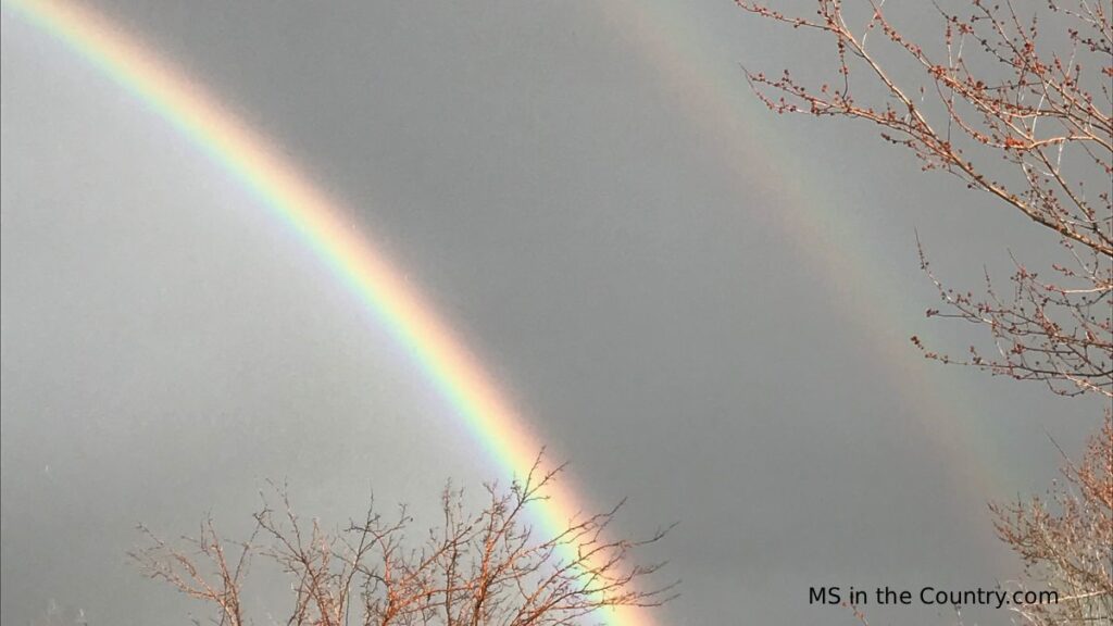 Double rainbow symbolizing hope as new MS research brings encouraging discoveries for people living with multiple sclerosis