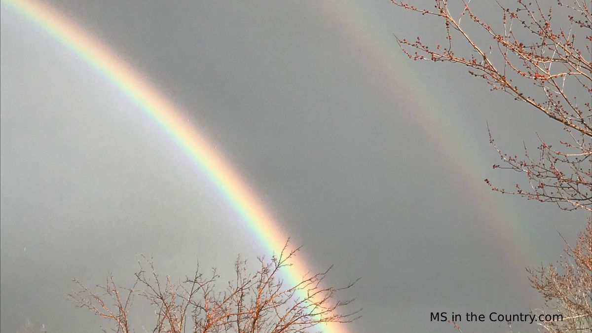 6 New MS Research Discoveries Bringing Hope for People Living With MS