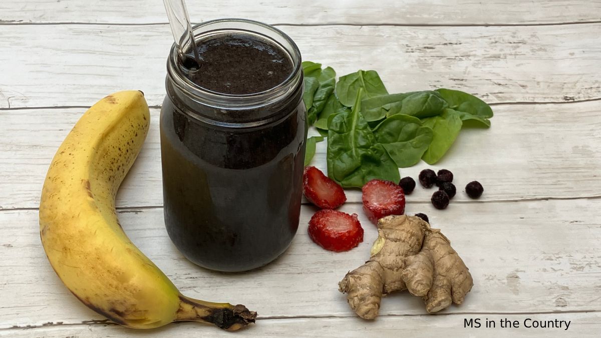 Gut Healing for MS: The Proven 4-Step Approach That Actually Works