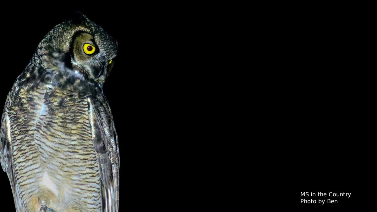 Healing MS Naturally Outdoors: Why Spending Time in Nature Matters This Earth Day