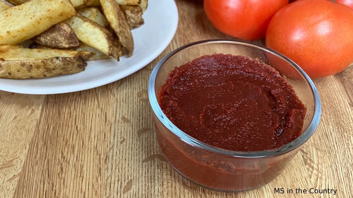 The Best Homemade Ketchup Without High Fructose Corn Syrup (MS-Friendly & Ready in 10 Minutes)