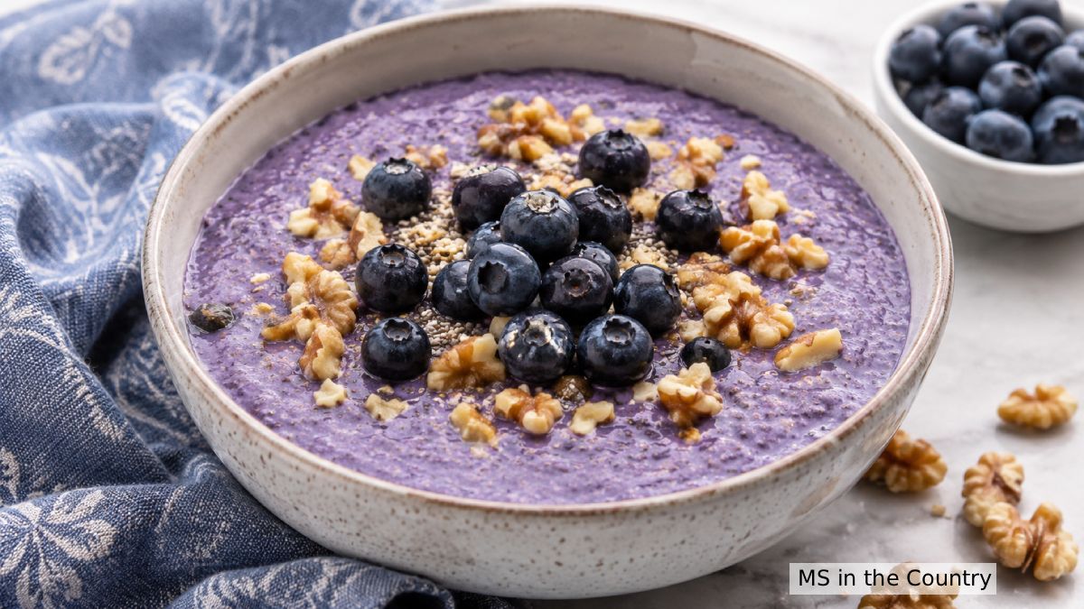 Blueberry Chia Pudding (An Overnight MS-Friendly Breakfast Ready When You Wake Up)