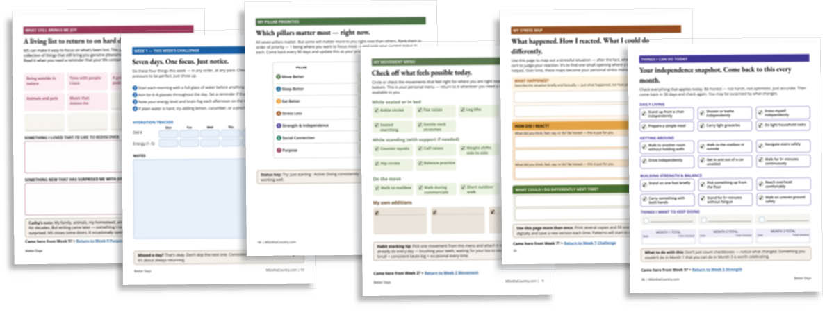 Preview of six inside pages from the Better Days 90-Day MS Quality of Life Workbook, showing weekly challenges, worksheets, trackers, reflection prompts, and quality-of-life exercises.