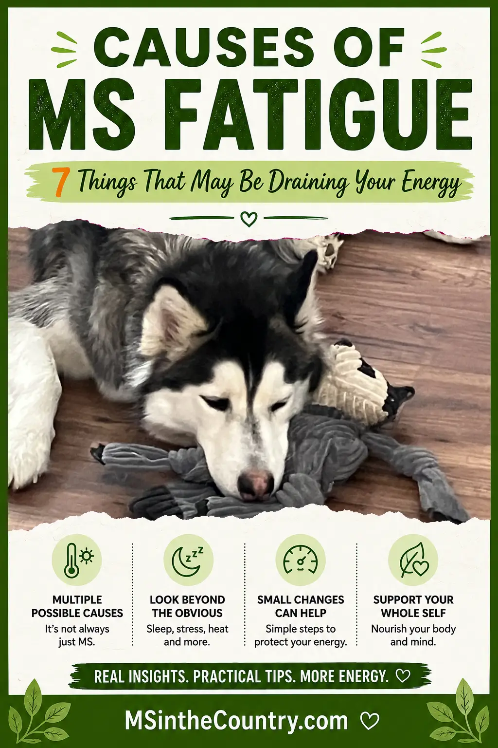 Pinterest pin about 7 possible causes of MS fatigue, featuring a tired husky resting on his toys
