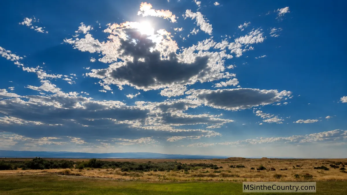 Low Vitamin D in Summer? The Hidden Factors That Matter for MS