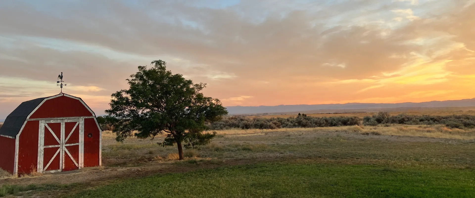 Red barn and tree overlooking the countryside at sunset.